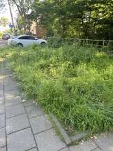 Bild zu gemeldetem Anliegen vom *2024-05-26 09:13:44