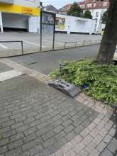 Bild zu gemeldetem Anliegen vom *2024-05-30 21:09:12