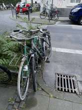 Bild zu gemeldetem Anliegen vom *2024-05-30 21:16:36