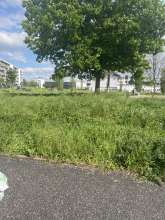 Bild zu gemeldetem Anliegen vom *2024-05-05 16:45:28