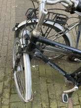 Bild zu gemeldetem Anliegen vom *2024-05-12 20:46:57