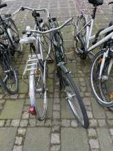 Bild zu gemeldetem Anliegen vom *2024-05-15 07:02:55