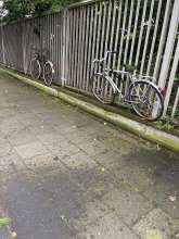 Bild zu gemeldetem Anliegen vom *2024-05-16 20:22:54