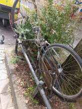 Bild zu gemeldetem Anliegen vom *2024-05-31 10:39:20