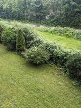 Bild zu gemeldetem Anliegen vom *2024-06-03 09:16:26