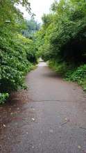 Bild zu gemeldetem Anliegen vom *2024-06-19 09:28:13