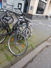 Bild zu gemeldetem Anliegen vom *2024-06-02 19:16:43