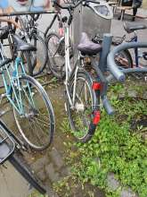 Bild zu gemeldetem Anliegen vom *2024-06-02 19:18:34