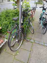 Bild zu gemeldetem Anliegen vom *2024-06-03 08:11:18