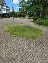 Bild zu gemeldetem Anliegen vom *2024-06-09 15:28:08