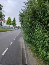 Bild zu gemeldetem Anliegen vom *2024-06-01 17:44:20