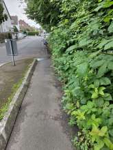 Bild zu gemeldetem Anliegen vom *2024-06-20 09:34:15