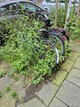 Bild zu gemeldetem Anliegen vom *2024-06-22 06:33:32