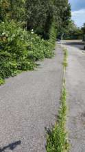Bild zu gemeldetem Anliegen vom *2024-06-12 08:24:35