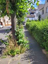 Bild zu gemeldetem Anliegen vom *2024-06-28 10:21:23