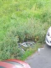 Bild zu gemeldetem Anliegen vom *2024-06-13 08:08:44