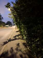 Bild zu gemeldetem Anliegen vom *2024-06-27 21:27:58
