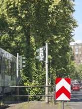 Bild zu gemeldetem Anliegen vom *2024-06-06 14:30:27