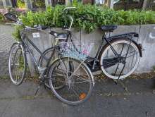 Bild zu gemeldetem Anliegen vom *2024-06-13 06:30:14