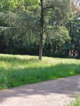 Bild zu gemeldetem Anliegen vom *2024-06-24 11:45:37