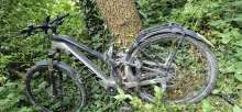 Bild zu gemeldetem Anliegen vom *2024-06-29 09:34:32