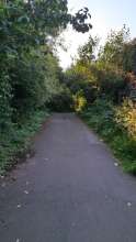 Bild zu gemeldetem Anliegen vom *2024-06-11 19:00:24