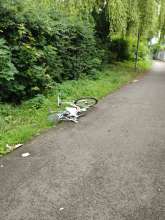 Bild zu gemeldetem Anliegen vom *2024-06-01 09:28:55