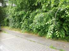 Bild zu gemeldetem Anliegen vom *2024-06-01 15:23:30