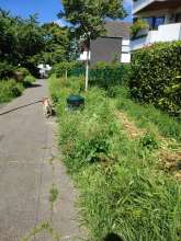Bild zu gemeldetem Anliegen vom *2024-06-09 09:31:11