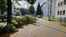 Bild zu gemeldetem Anliegen vom *2024-06-11 07:13:54