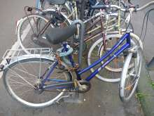 Bild zu gemeldetem Anliegen vom *2024-06-13 06:30:14