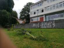 Bild zu gemeldetem Anliegen vom *2024-06-17 12:32:36