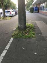 Bild zu gemeldetem Anliegen vom *2024-06-09 17:19:17