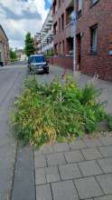 Bild zu gemeldetem Anliegen vom *2024-06-11 13:11:57