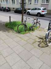 Bild zu gemeldetem Anliegen vom *2024-06-21 13:41:41