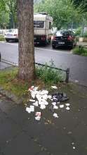 Bild zu gemeldetem Anliegen vom *2024-06-02 00:27:49