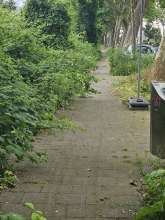 Bild zu gemeldetem Anliegen vom *2024-06-05 14:17:20