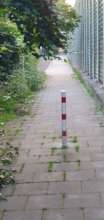 Bild zu gemeldetem Anliegen vom *2024-06-05 18:27:58