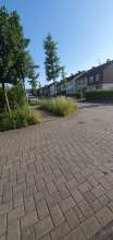 Bild zu gemeldetem Anliegen vom *2024-06-06 19:21:26