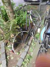 Bild zu gemeldetem Anliegen vom *2024-06-09 15:28:08