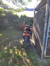 Bild zu gemeldetem Anliegen vom *2024-06-11 20:57:57