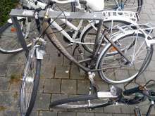 Bild zu gemeldetem Anliegen vom *2024-06-13 18:36:29