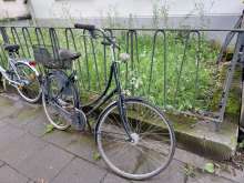 Bild zu gemeldetem Anliegen vom *2024-06-30 12:27:11