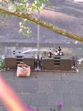 Bild zu gemeldetem Anliegen vom *2024-06-19 18:36:36