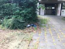Bild zu gemeldetem Anliegen vom *2024-06-09 17:41:29