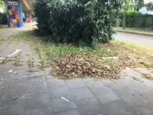 Bild zu gemeldetem Anliegen vom *2024-06-09 17:36:44