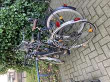 Bild zu gemeldetem Anliegen vom *2024-06-29 09:25:56