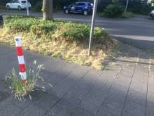 Bild zu gemeldetem Anliegen vom *2024-06-03 16:20:54