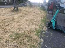 Bild zu gemeldetem Anliegen vom *2024-06-04 06:41:44