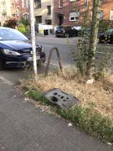 Bild zu gemeldetem Anliegen vom *2024-06-29 09:34:32